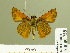  ( - HESP-EB 00 758)  @13 [ ] Copyright (2010) Unspecified Research Collection of Ernst Brockmann