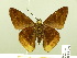  ( - HESP-EB 00 793)  @11 [ ] Copyright (2010) Unspecified Research Collection of Ernst Brockmann
