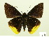  ( - HESP-EB 00 803)  @14 [ ] Copyright (2010) Unspecified Research Collection of Ernst Brockmann