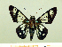  ( - HESP-EB 00 010)  @11 [ ] Copyright (2010) Unspecified Research Collection of Ernst Brockmann