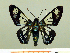  ( - HESP-EB 00 011)  @11 [ ] Copyright (2010) Unspecified Research Collection of Ernst Brockmann