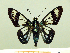  ( - HESP-EB 00 013)  @14 [ ] Copyright (2010) Unspecified Research Collection of Ernst Brockmann
