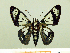  ( - HESP-EB 00 014)  @11 [ ] Copyright (2010) Unspecified Research Collection of Ernst Brockmann