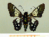  ( - HESP-EB 00 017)  @11 [ ] Copyright (2010) Unspecified Research Collection of Ernst Brockmann