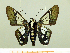  ( - HESP-EB 00 017)  @11 [ ] Copyright (2010) Unspecified Research Collection of Ernst Brockmann