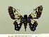  ( - HESP-EB 00 022)  @11 [ ] Copyright (2010) Unspecified Research Collection of Ernst Brockmann