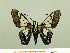  ( - HESP-EB 00 022)  @11 [ ] Copyright (2010) Unspecified Research Collection of Ernst Brockmann