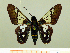  ( - HESP-EB 00 023)  @11 [ ] Copyright (2010) Unspecified Research Collection of Ernst Brockmann