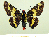 ( - HESP-EB 00 064)  @13 [ ] Copyright (2010) Unspecified Research Collection of Ernst Brockmann
