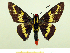  ( - HESP-EB 00 065)  @14 [ ] Copyright (2010) Unspecified Research Collection of Ernst Brockmann