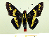  ( - HESP-EB 00 067)  @13 [ ] Copyright (2010) Unspecified Research Collection of Ernst Brockmann