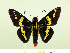  ( - HESP-EB 00 068)  @13 [ ] Copyright (2010) Unspecified Research Collection of Ernst Brockmann
