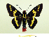  ( - HESP-EB 00 069)  @13 [ ] Copyright (2010) Unspecified Research Collection of Ernst Brockmann