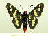  ( - HESP-EB 00 070)  @13 [ ] Copyright (2010) Unspecified Research Collection of Ernst Brockmann