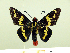  ( - HESP-EB 00 071)  @13 [ ] Copyright (2010) Unspecified Research Collection of Ernst Brockmann