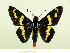 ( - HESP-EB 00 072)  @13 [ ] Copyright (2010) Unspecified Research Collection of Ernst Brockmann