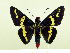  ( - HESP-EB 00 073)  @13 [ ] Copyright (2010) Unspecified Research Collection of Ernst Brockmann