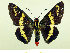  ( - HESP-EB 00 074)  @13 [ ] Copyright (2010) Unspecified Research Collection of Ernst Brockmann