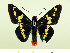  ( - HESP-EB 00 075)  @13 [ ] Copyright (2010) Unspecified Research Collection of Ernst Brockmann