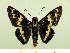  ( - HESP-EB 00 076)  @13 [ ] Copyright (2010) Unspecified Research Collection of Ernst Brockmann