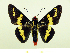  ( - HESP-EB 00 077)  @14 [ ] Copyright (2010) Unspecified Research Collection of Ernst Brockmann