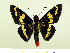  ( - HESP-EB 00 078)  @13 [ ] Copyright (2010) Unspecified Research Collection of Ernst Brockmann