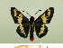  ( - HESP-EB 00 079)  @13 [ ] Copyright (2010) Unspecified Research Collection of Ernst Brockmann