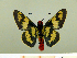  ( - HESP-EB 00 079)  @13 [ ] Copyright (2010) Unspecified Research Collection of Ernst Brockmann