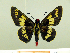  ( - HESP-EB 00 080)  @14 [ ] Copyright (2010) Unspecified Research Collection of Ernst Brockmann
