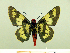  ( - HESP-EB 00 080)  @13 [ ] Copyright (2010) Unspecified Research Collection of Ernst Brockmann
