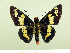  ( - HESP-EB 00 081)  @14 [ ] Copyright (2010) Unspecified Research Collection of Ernst Brockmann