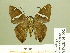  ( - HESP-EB 01 002)  @12 [ ] Copyright (2010) Unspecified Research Collection of Ernst Brockmann