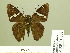  ( - HESP-EB 01 002)  @12 [ ] Copyright (2010) Unspecified Research Collection of Ernst Brockmann