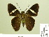  ( - HESP-EB 01 003)  @13 [ ] Copyright (2010) Unspecified Research Collection of Ernst Brockmann