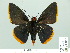  ( - HESP-EB 01 015)  @13 [ ] Copyright (2010) Unspecified Research Collection of Ernst Brockmann