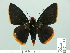  ( - HESP-EB 01 015)  @14 [ ] Copyright (2010) Unspecified Research Collection of Ernst Brockmann