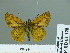  ( - HESP-EB 01 128)  @13 [ ] Copyright (2010) Unspecified Research Collection of Ernst Brockmann