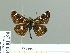  ( - HESP-EB 01 194)  @11 [ ] Copyright (2010) Unspecified Research Collection of Ernst Brockmann