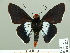  ( - HESP-EB 01 222)  @12 [ ] Copyright (2010) Unspecified Research Collection of Ernst Brockmann