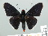  ( - HESP-EB 01 222)  @13 [ ] Copyright (2010) Unspecified Research Collection of Ernst Brockmann