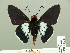  ( - HESP-EB 01 227)  @11 [ ] Copyright (2010) Unspecified Research Collection of Ernst Brockmann