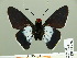  ( - HESP-EB 01 228)  @12 [ ] Copyright (2010) Unspecified Research Collection of Ernst Brockmann
