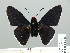  ( - HESP-EB 01 228)  @13 [ ] Copyright (2010) Unspecified Research Collection of Ernst Brockmann