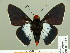  ( - HESP-EB 01 232)  @12 [ ] Copyright (2010) Unspecified Research Collection of Ernst Brockmann