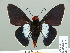  ( - HESP-EB 01 233)  @12 [ ] Copyright (2010) Unspecified Research Collection of Ernst Brockmann