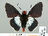  ( - HESP-EB 01 234)  @12 [ ] Copyright (2010) Unspecified Research Collection of Ernst Brockmann