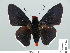  ( - HESP-EB 01 234)  @13 [ ] Copyright (2010) Unspecified Research Collection of Ernst Brockmann
