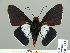  ( - HESP-EB 01 235)  @12 [ ] Copyright (2010) Unspecified Research Collection of Ernst Brockmann