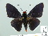  ( - HESP-EB 01 235)  @13 [ ] Copyright (2010) Unspecified Research Collection of Ernst Brockmann