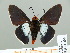  ( - HESP-EB 01 236)  @12 [ ] Copyright (2010) Unspecified Research Collection of Ernst Brockmann